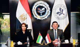 الرئيس التنفيذي للهيئة العامة للاستثمار...