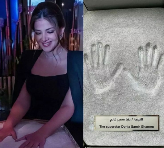 شاهد.. دنيا سمير غانم تستعيد ذكريات حفل جوى