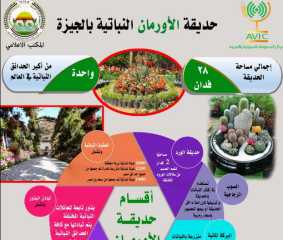 انفوجراف| كل ما تريد معرفته...