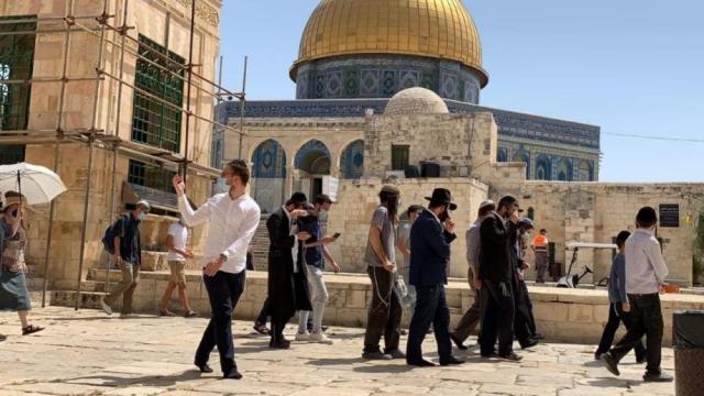 مستوطنون يقتحمون المسجد الأقصى تجت حماية قوات الاحتلال