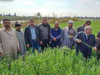 زراعة الشرقية تُنفذ يوم حقلي...