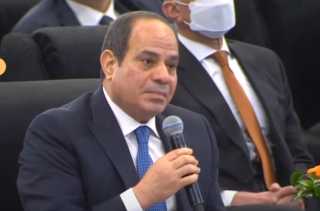السيسي: الناس خرجت في 2011...