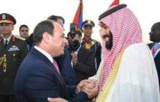 محمد عز العرب: الرؤية المصرية...