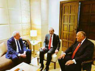 شكري ونائب رئيس الوزراء وزير...
