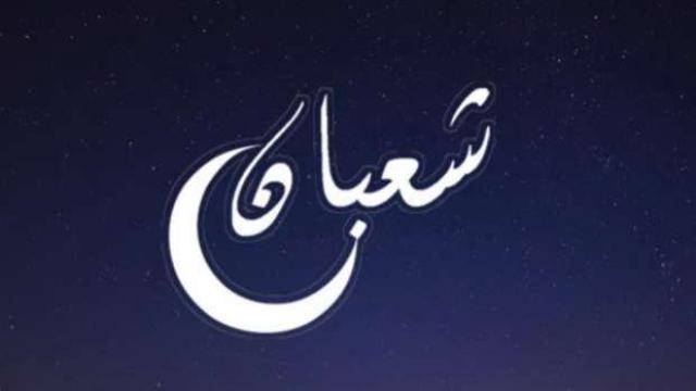 الافتاء
