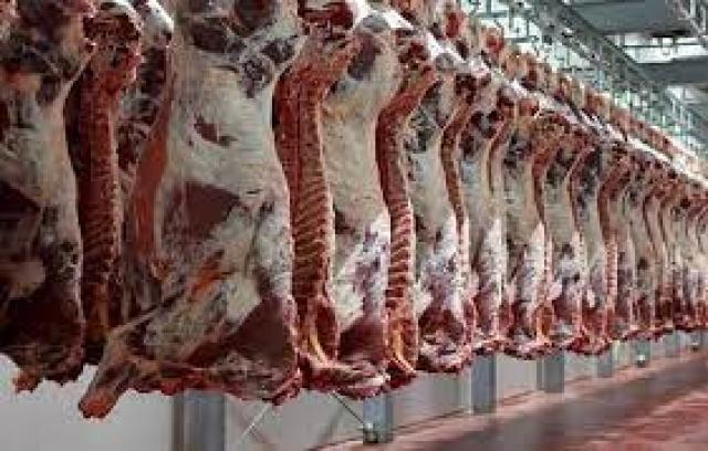 الشركة العامة لتجارة الجملة: 95 جنيها سعر اللحوم.. و57 جنيها لطبق البيض