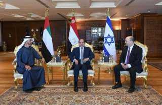 الرئيس السيسي يلتقى بولي عهد...