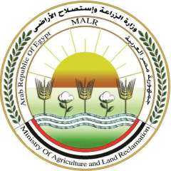 الحجر الزراعي ينفي فرض إتاوات...