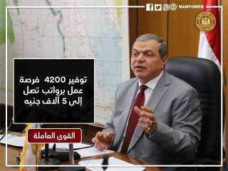 وزير القوى العاملة : توفير...
