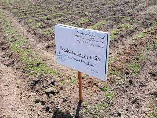الأجهزة التنفيذية تنفذ إزالات فوريه...