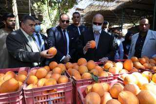 محافظ القاهرة يتفقد سوق ساحل...