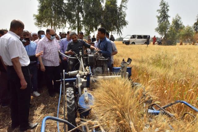 محافظ أسيوط يعلن توريد 227 طن قمح بـ 30 شونة ومركز تجميع منذ بدء موسم التوريد وحتى الآن
