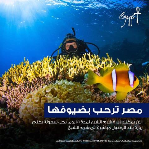 وزارة السياحة