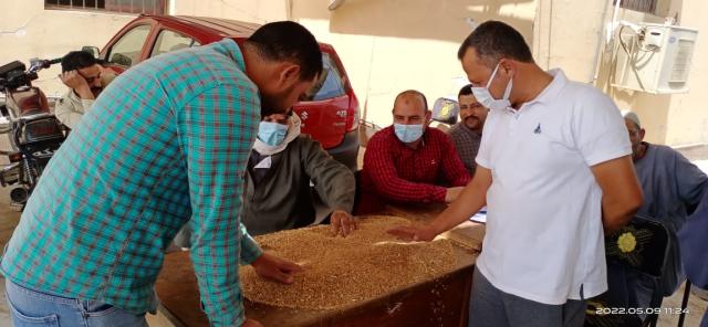 توريد أكثر من 75 ألف طن قمح لشون وصوامع كفر الشيخ.. صور