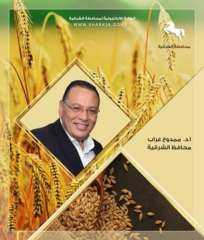 حصاد ٣٢٤ ألف و٣٨٦ فدان...