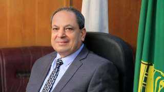«تموين المنيا»: زراعة 250 ألف...
