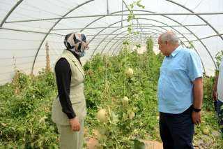 محافظ الوادي الجديد يتفقد مركز...