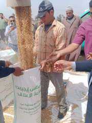 حصاد ٣٣٦ ألف و٥٧٣ فدان......