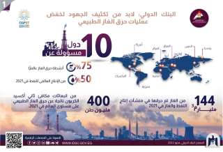 مركز معلومات الوزراء: البنك الدولى...