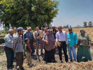 زراعة الشرقية تُنفذ يوم حصاد...