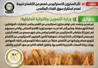 الحكومة تنفى تأثر المخزون الاستراتيجي...