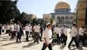 فلسطين: الاقتحامات و«مسيرة الأعلام» دليل...