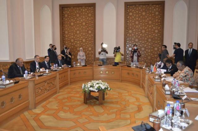 وزير الخارجية يبحث مع نظيرته الجنوب أفريقية تطورات الأوضاع الإقليمية والدولية