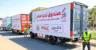 تفاصيل تنظيم صندوق تحيا مصر...