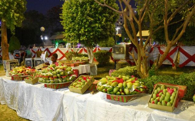 إنطلاق مهرجان مانجو أسوان 2022 بهدف تبني مشروع قومي لزيادة حجم الإنتاج