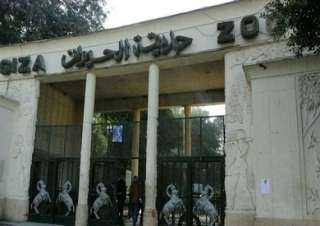 رئيس حديقة الحيوان: مصر خالية...