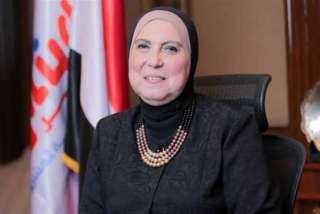 نيفين جامع:أداء وزارة الصناعة لا...