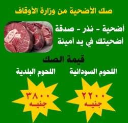 الاوقاف: أكثر من 25 مليون...