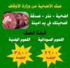 الاوقاف: أكثر من 25 مليون...