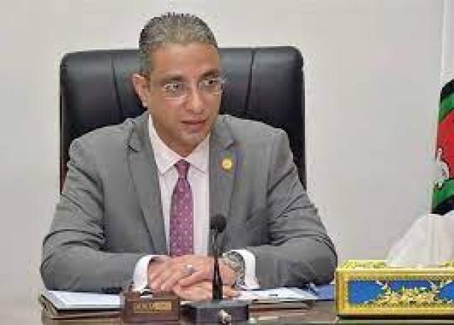 الدكتور أحمد الأنصاري محافظ الفيوم