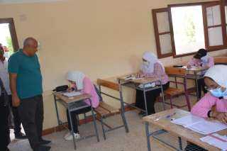 محافظ الوادي الجديد يتفقد اللجان...