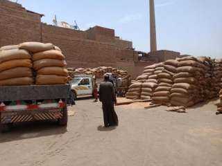 ارتفاع معدلات توريد القمح بكفر...