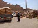 ارتفاع معدلات توريد القمح بكفر...