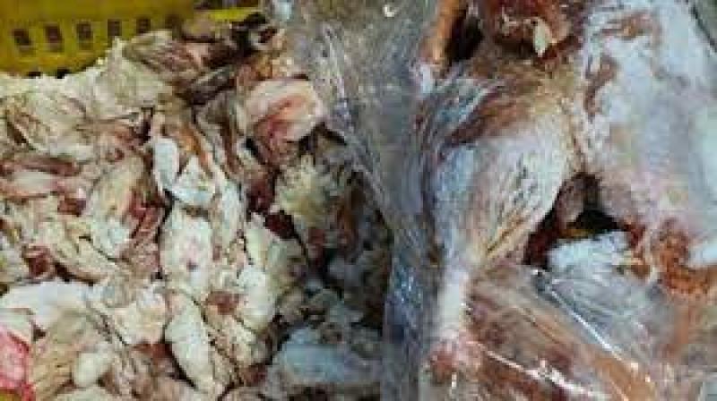 ضبط لحوم ودواجن فاسدة داخل محل مشهور في طنطا