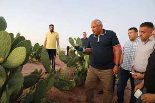 محافظ الوادي الجديد يتفقد أول...
