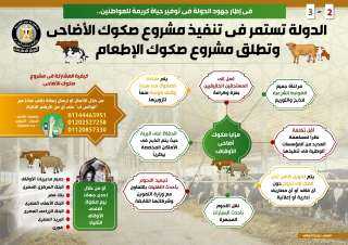 إنفوجراف...  الدولة تستمر في...