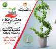 ” مشروعك المنوفية ” :...