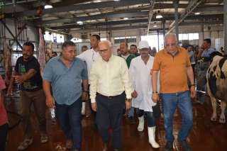 مجزر بورسعيد يواصل استقبال ذبائح...