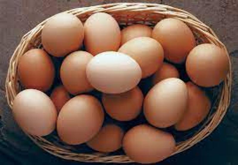 انخفاض أسعار البيض بالأسواق في رابع أيام عيد الأضحى