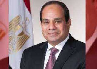 الرئيس السيسي: ناقشت مع المستشار...
