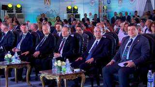 كلمة  وزير الكهرباء فى...