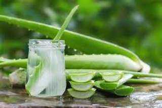 طرق علاج البواسير الخارجية بالأعشاب