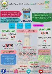 انفوجراف.. إنتاج زراعي وثروة سمكية...