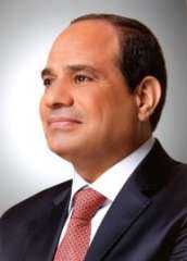 السيسي يؤكد استعداد مصر لمواصلة...
