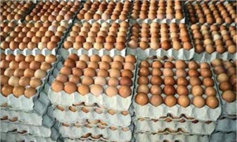 طبق البيض بالمجمعات الاستهلاكية بـ ٦٥ جنيهًا