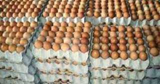 وزير التموين يوجه بتخفيض سعر...